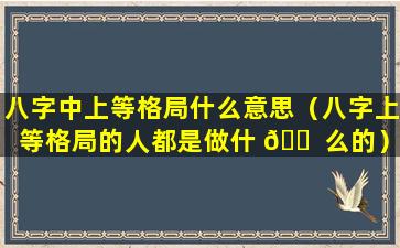 八字中上等格局什么意思（八字上等格局的人都是做什 🐠 么的）